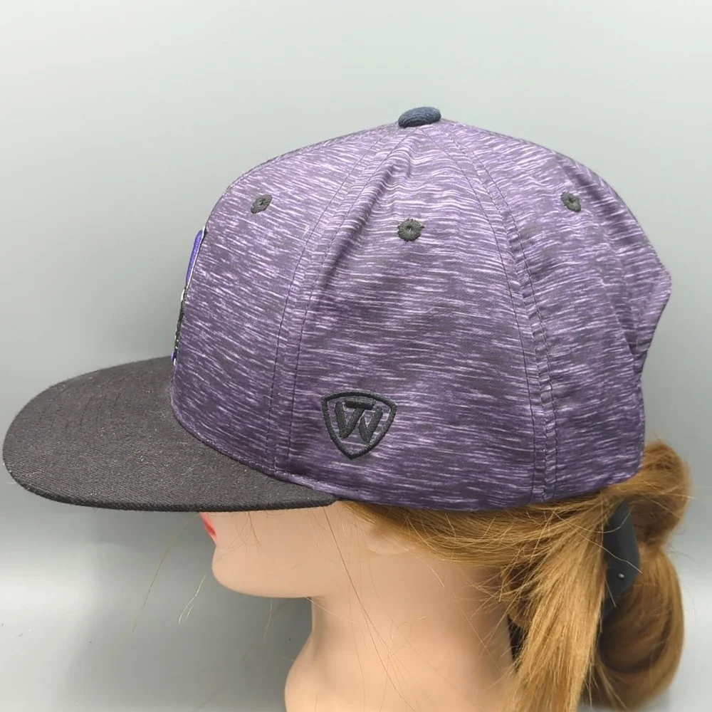 Top of the World northwestern wildcats
